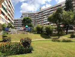 Pandan Valley (D21), Condominium #597593271